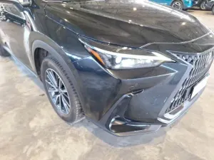 Lexus NX 350h Business 2022