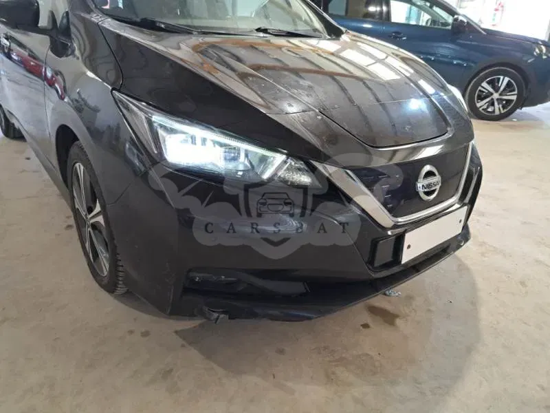 Nissan Leaf Business 2021