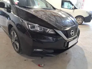 Nissan Leaf Business 2021