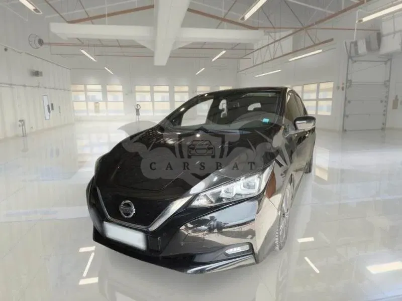 Nissan Leaf Business 2021