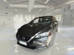 Nissan Leaf Business 2021