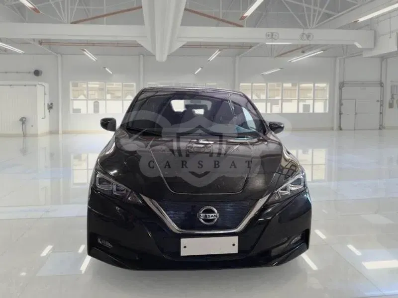 Nissan Leaf Business 2021