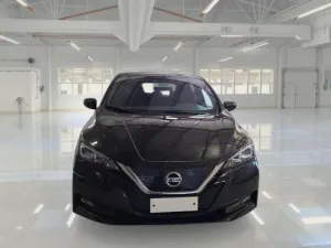 Nissan Leaf Business 2021