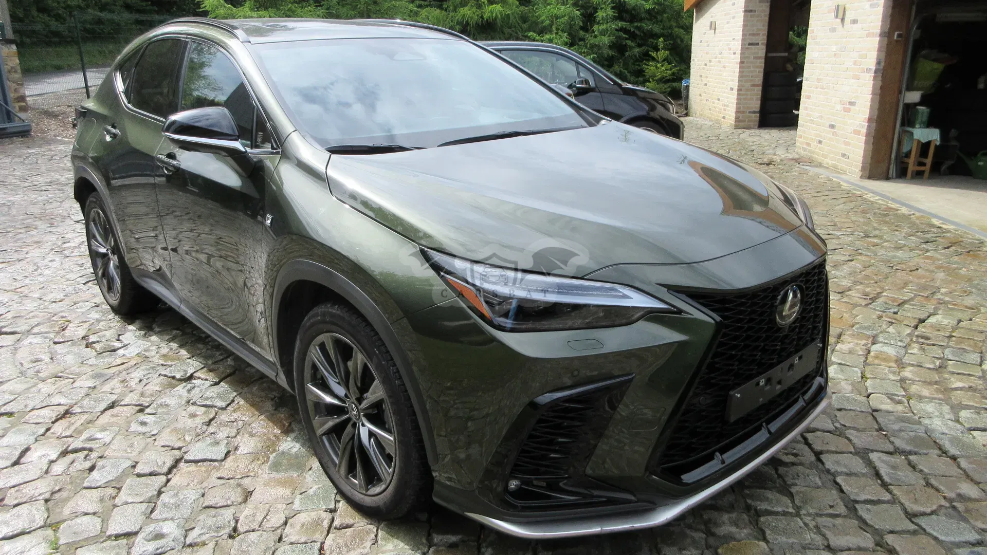 Lexus NX 450h Sport Line 2024