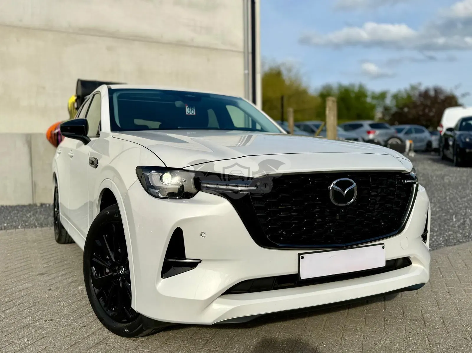 Mazda CX-60 2.5 Homura 2022
