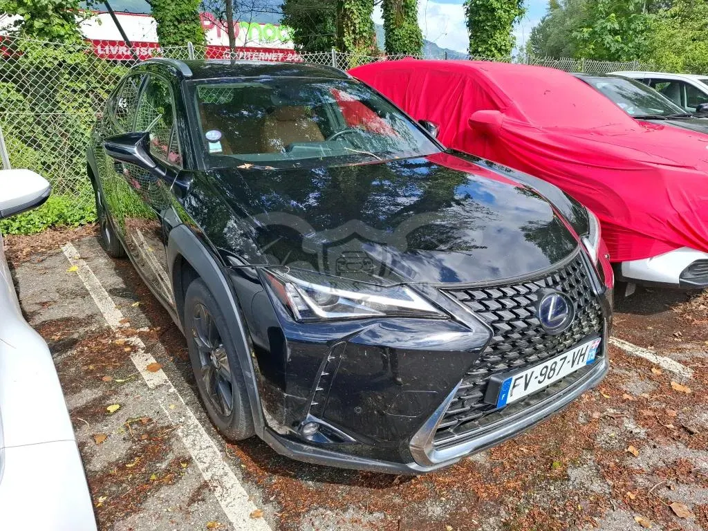Lexus UX 250h Luxe 2020