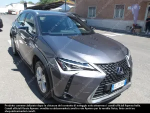 Lexus UX Business 2022