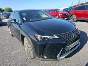 Lexus UX 250h Business 2023