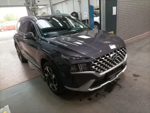 Hyundai Santa Fe 2.2 CRDi Prime 2022