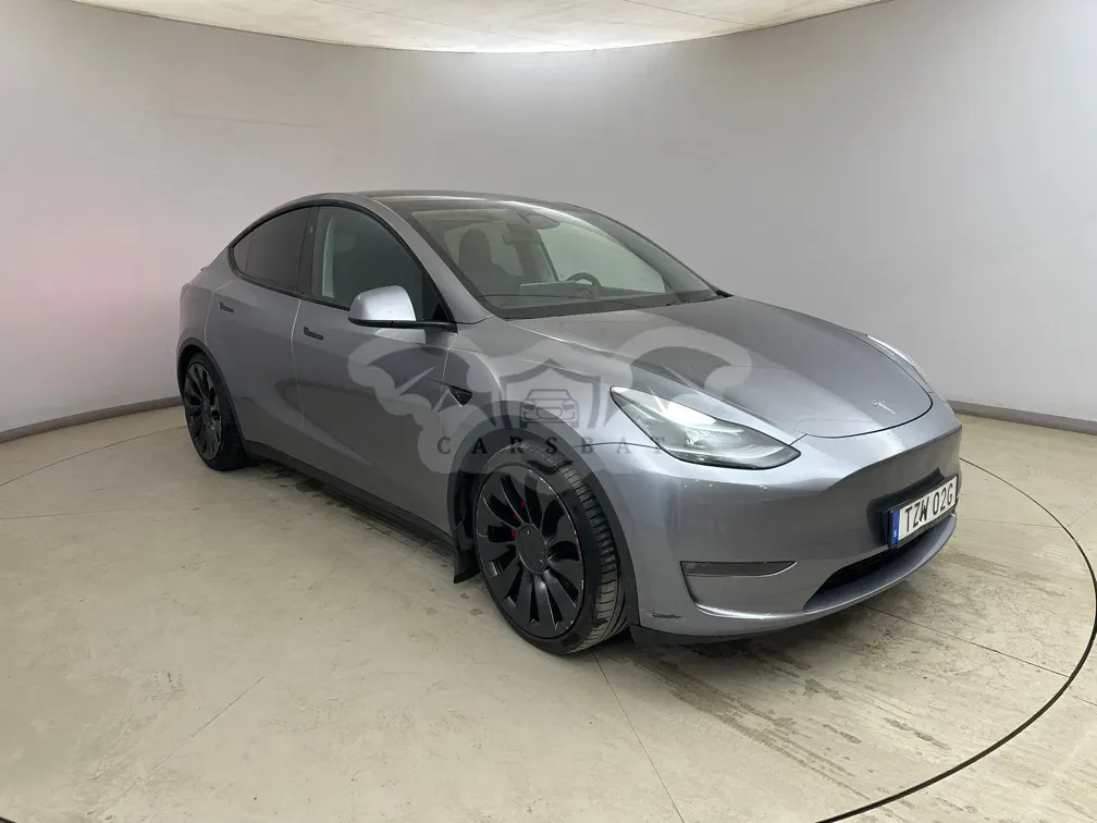 Tesla Model Y Performance 2024