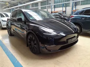 Tesla Model Y Performance 2024