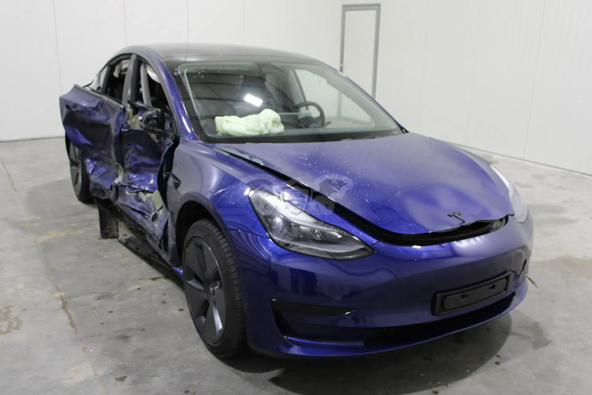 Tesla Model 3 Business 2021