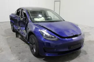 Tesla Model 3 Business 2021