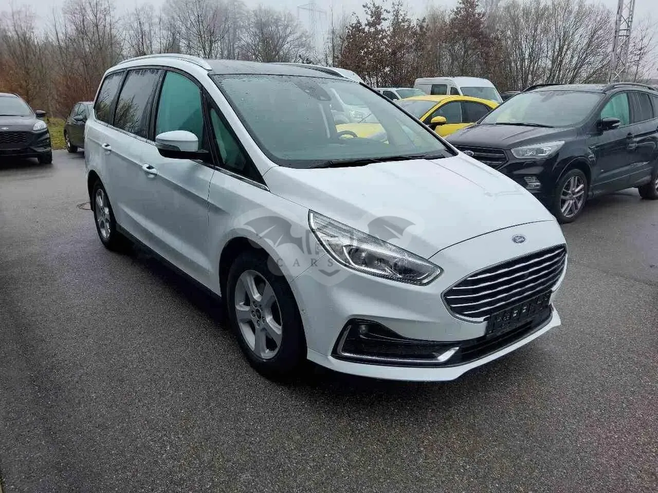 Ford Galaxy 2.0 EcoBlue Titanium 2020