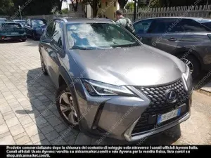 Lexus UX Business 2021