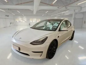 Tesla Model 3 Performance 75 kWh 2021