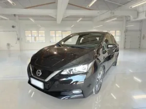 Nissan Leaf Business 2021