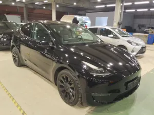 Tesla Model Y Long Range 2021
