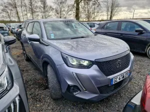 Peugeot 2008 Active Business 2021