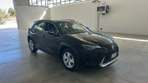 Lexus UX 250h Business 2022