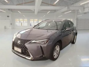 Lexus UX 250h Business 2021