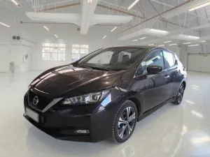Nissan Leaf Business 2021