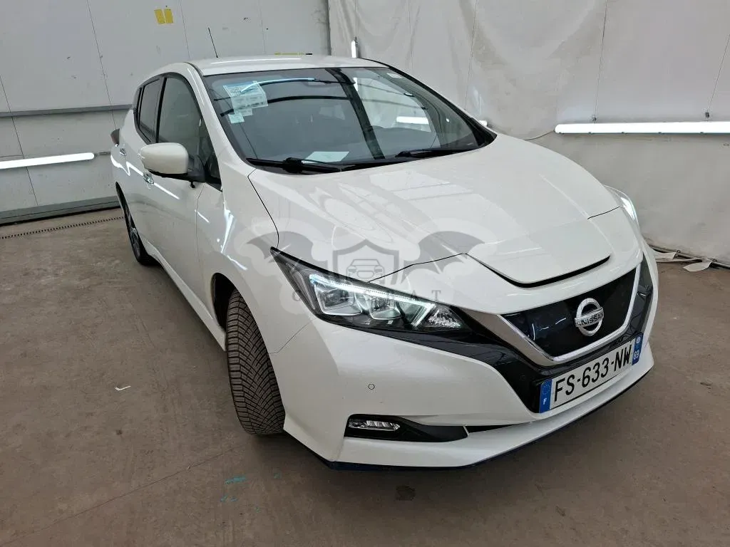 Nissan Leaf Business 2020