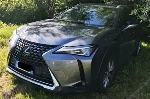 Lexus UX 250h Business 2021