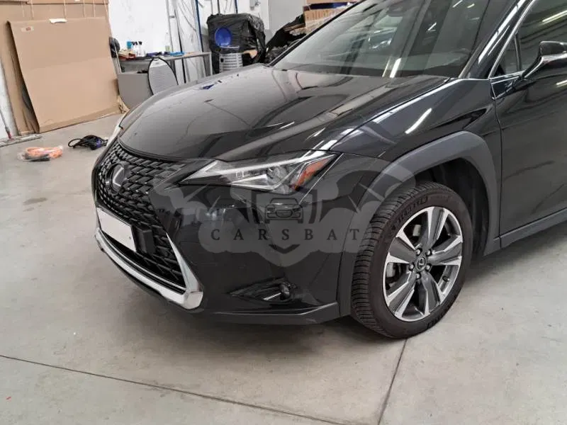 Lexus UX 300e Business 2023