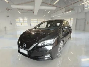 Nissan Leaf Business 2021