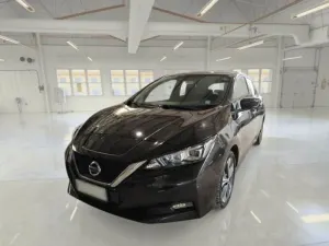 Nissan Leaf Business 2021