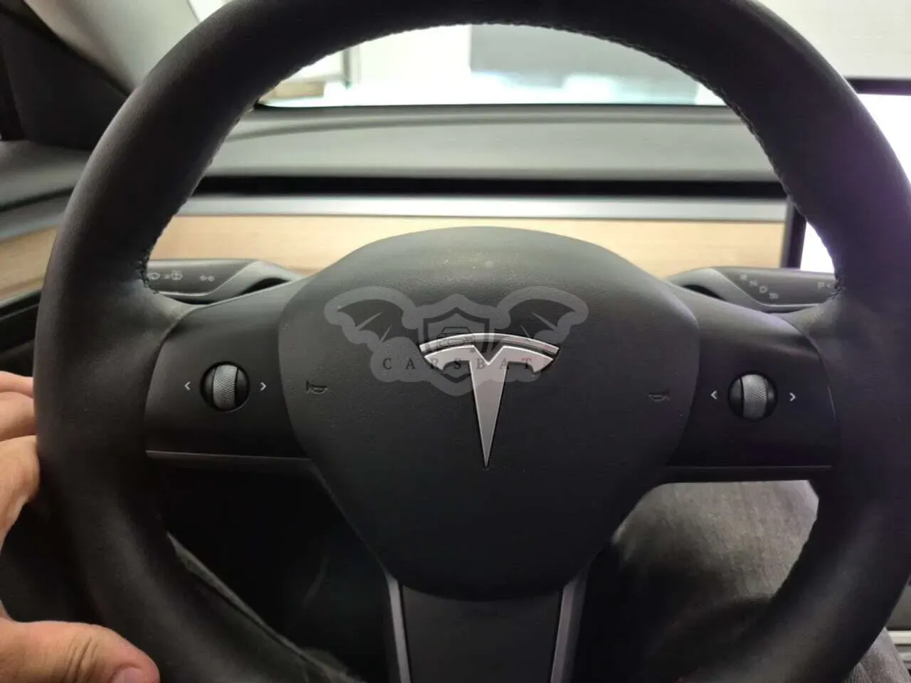 Tesla Model 3 Business 2021