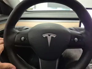 Tesla Model 3 Business 2021