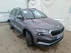 Skoda Karoq 2.0 TDI Business 2024