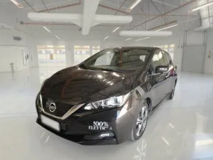 Nissan Leaf Business 2021