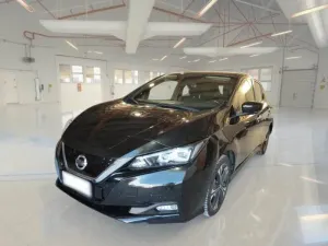 Nissan Leaf Business 2021