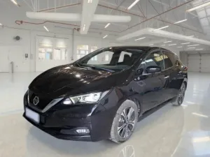 Nissan Leaf Business 2021