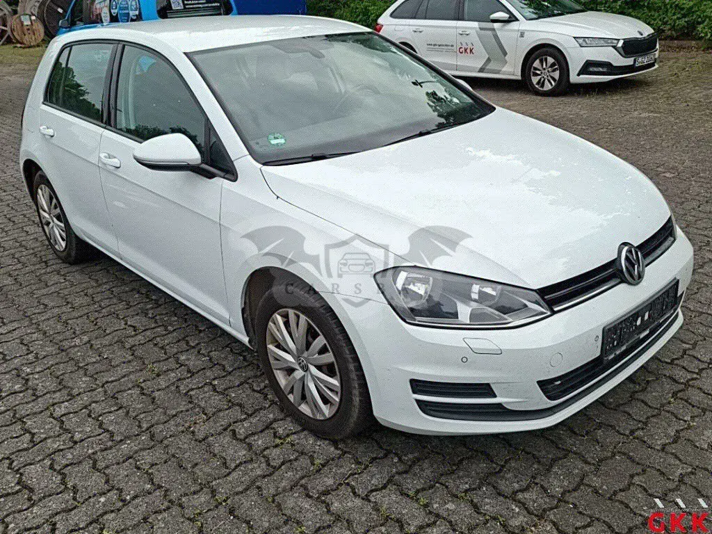 Volkswagen Golf BlueMotion 2013