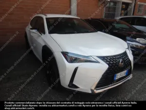 Lexus UX Business 2022