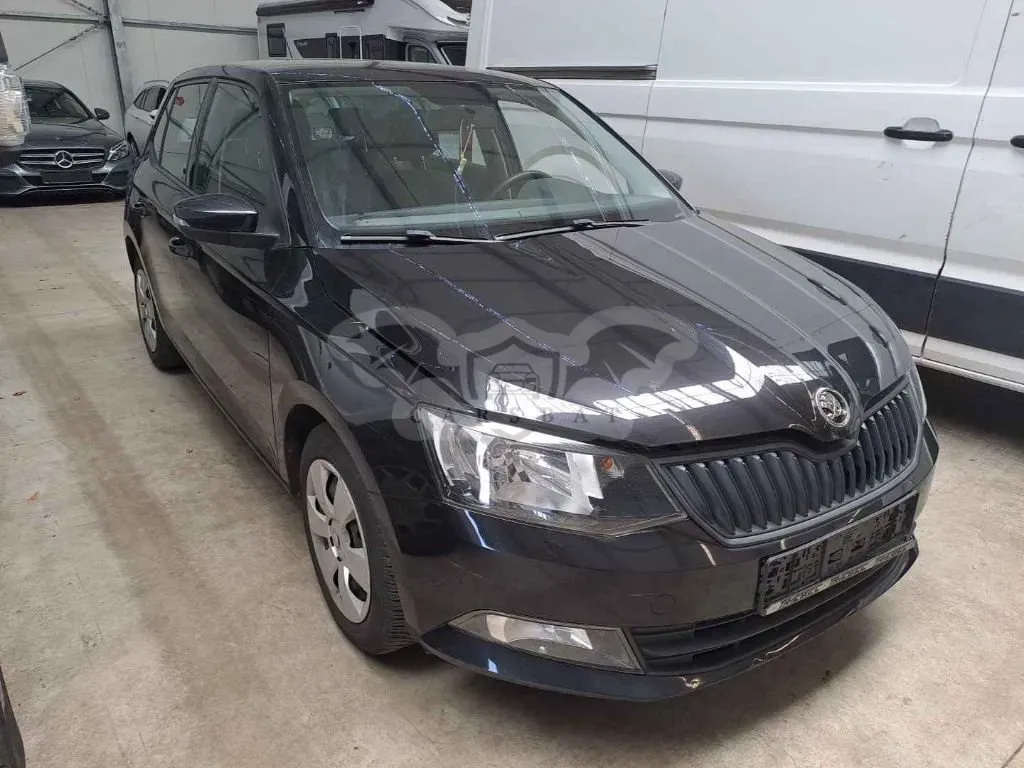 Skoda Fabia Active 2016