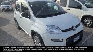 Fiat Panda 1.0 2023