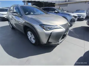 Lexus UX Business 2021