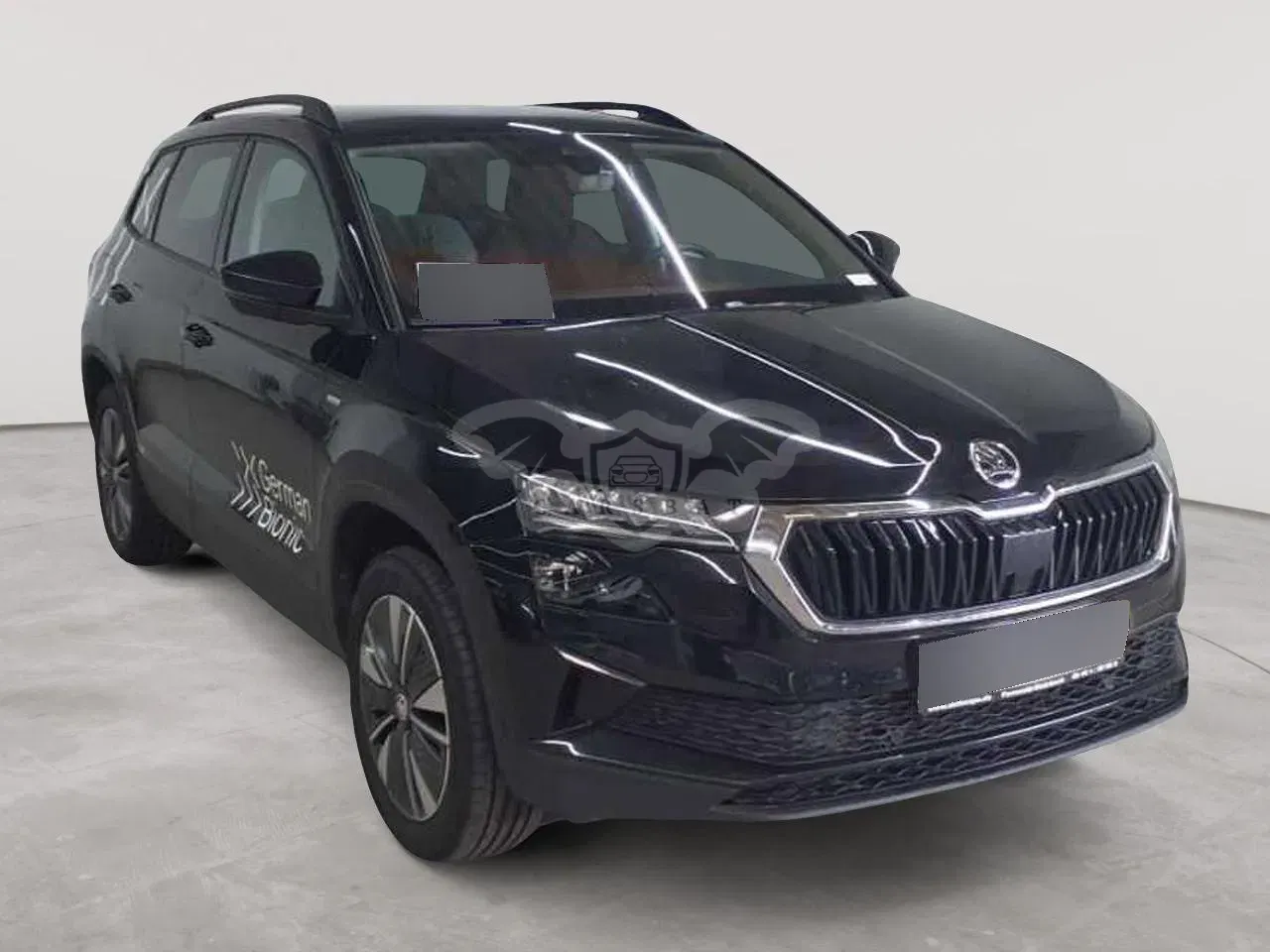 Skoda Karoq 1.5 TSI Tour 2024