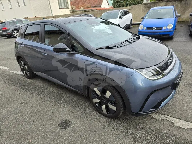 BYD Dolphin Design 2024