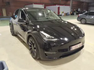 Tesla Model Y Performance 2022