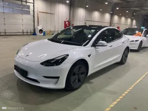 Tesla Model 3 Standard Range Plus Standard Range Plus 2023