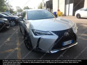 Lexus UX Business 2021
