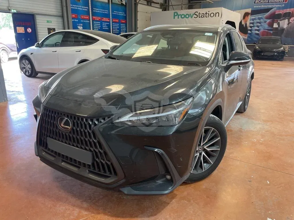 Lexus NX 350h 2024