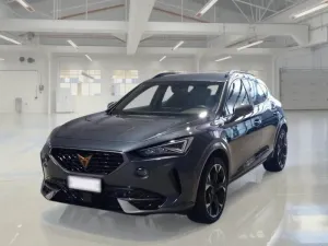Cupra Formentor 2.0 TSI VZ 2024