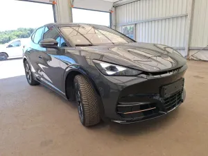 Cupra Tavascan Endurance 2024